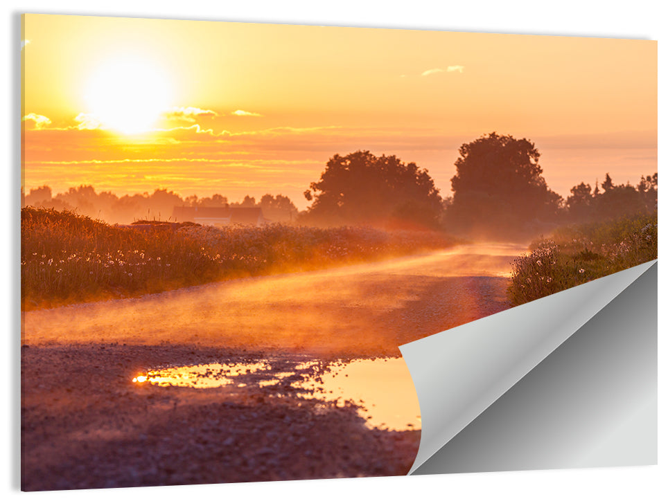 Dirt Road at Golden Hour Wall Art