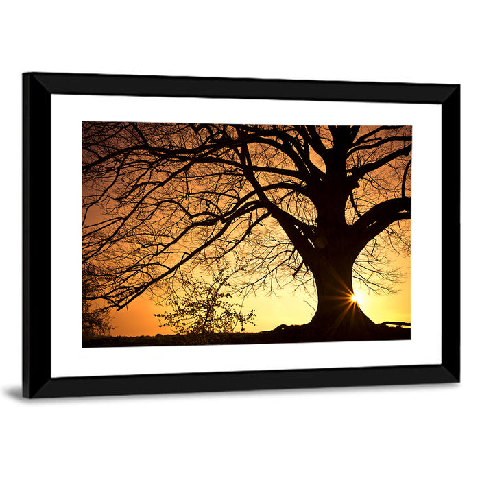 Willow Tree Sunset Wall Art as a framed print