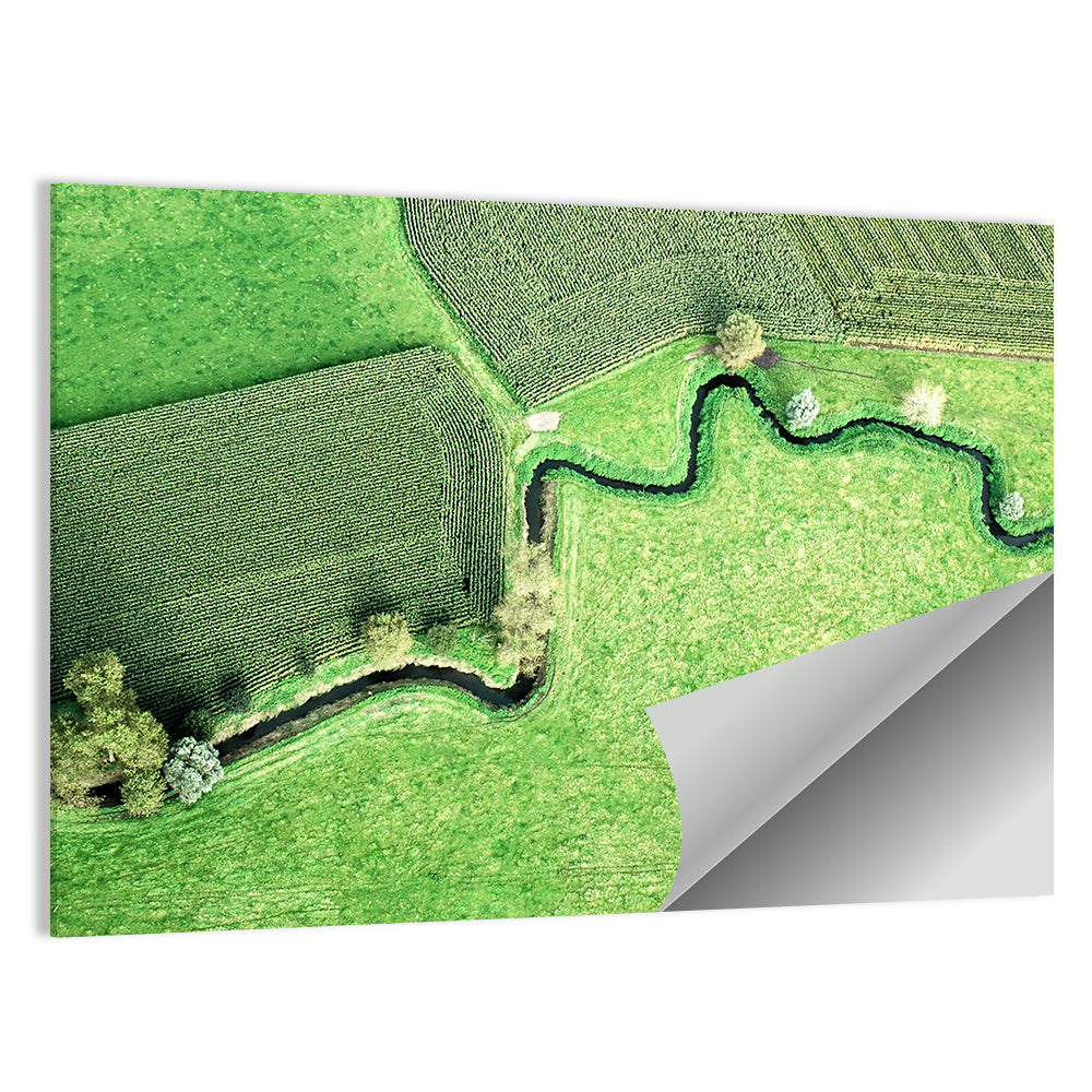 Meandering River Wall Art
