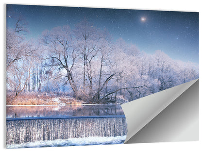 Winter Night Wall Art