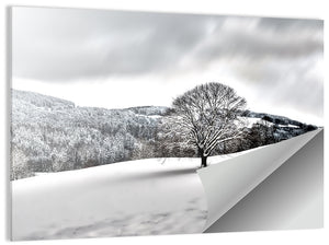 Lonely Snowy Tree Wall Art