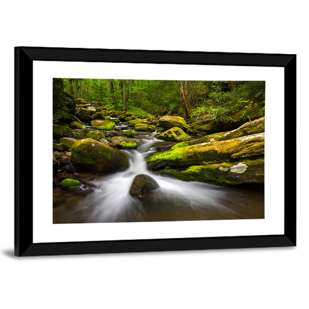 Mossy Forest Stream Wall Art