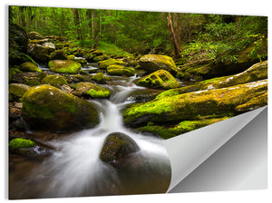 Green Forest Stream Wall Art