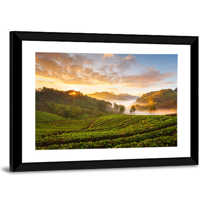 Strawberry Fields Sunrise Wall Art as a framed print