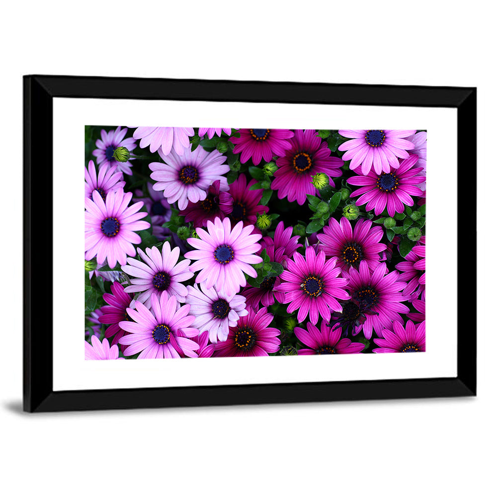 Pink and Purple Daisies Wall Art