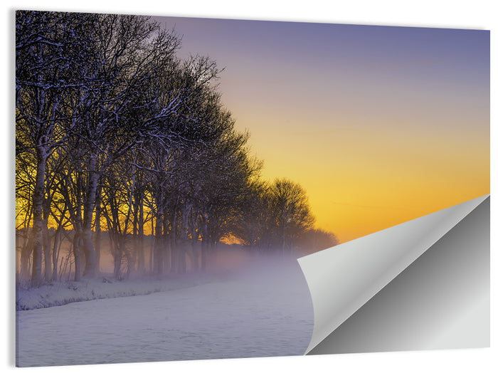 Winter Fog at Sunset Wall Art as a poster print