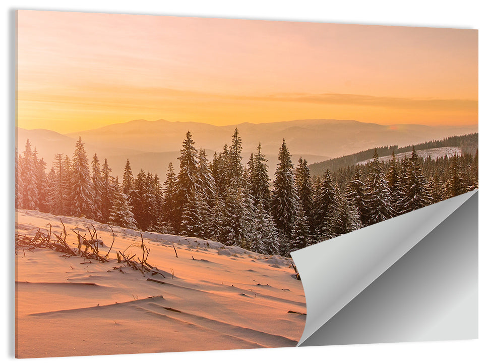Snowy Hoverla Wall Art