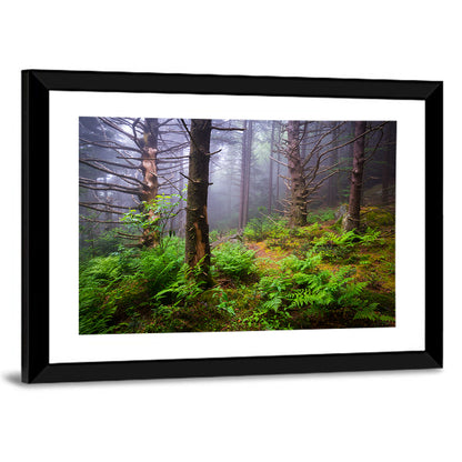 Forest Hiking Trail Wall Art