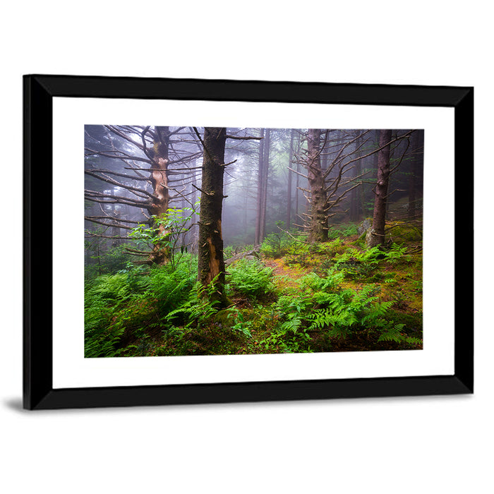 Misty Spruce-fir Trail Wall Art as a framed print