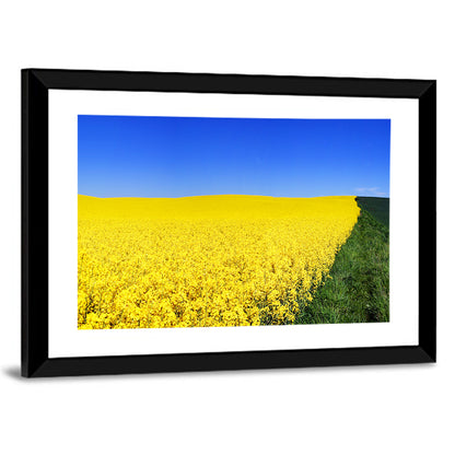 Rapeseed Field Wall Art