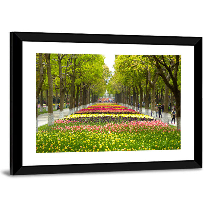 Tree-lined Tulip Garden Path Wall Art as a framed print