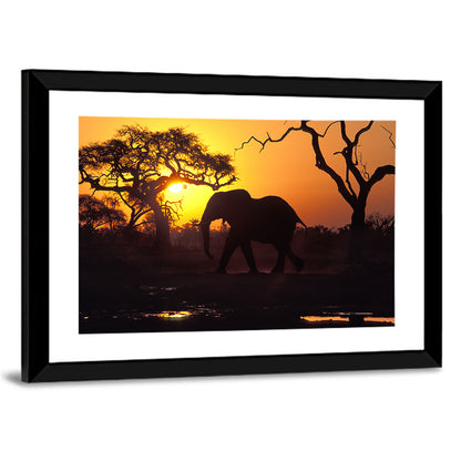 Elephant at Sunset Wall Art