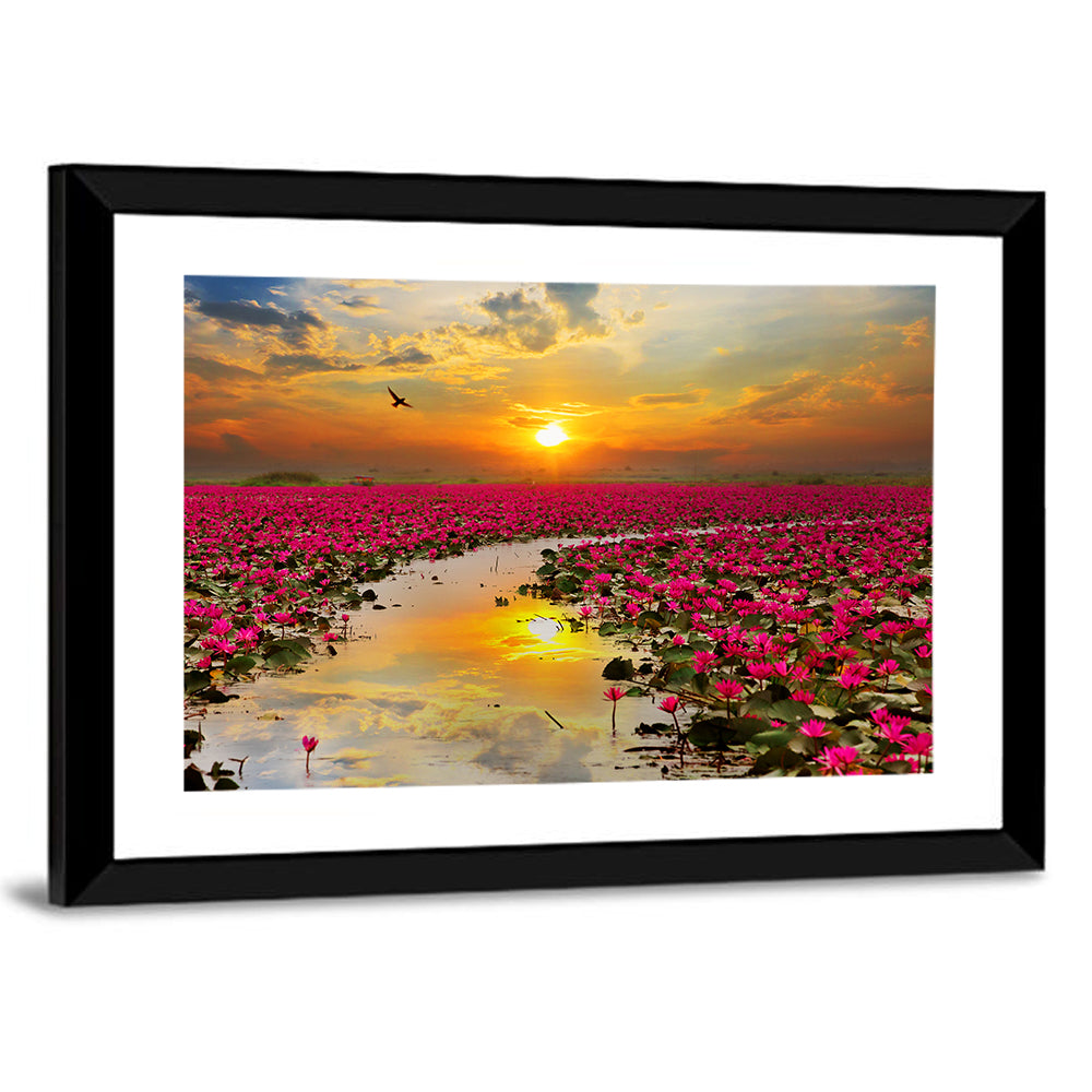 Golden Hour Lotus Field Wall Art