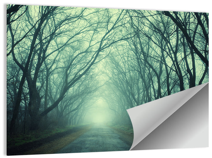 Foggy Forest Pathway Wall Art as a poster print