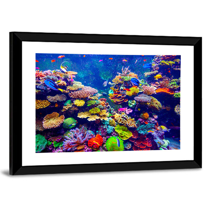 Tropical Coral Reef Aquarium Wall Art as a framed print