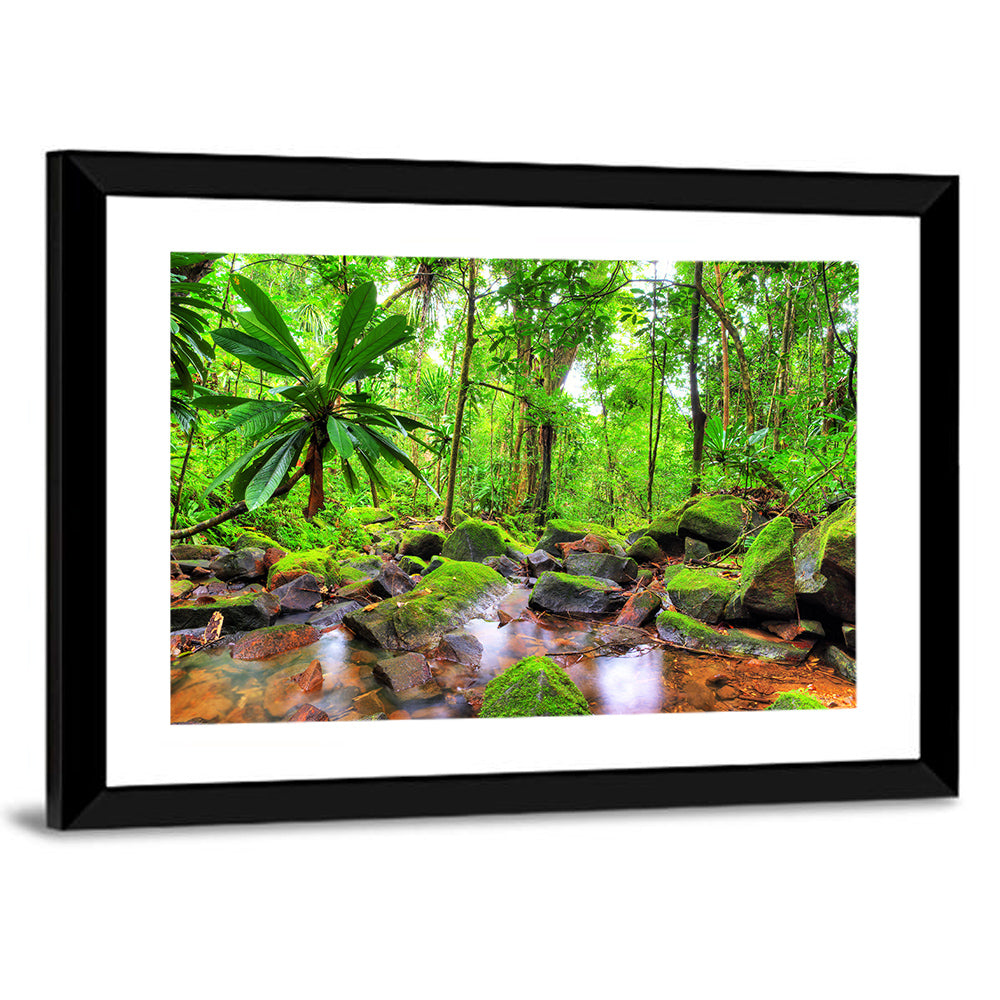 Mossy Rainforest Stream Wall Art