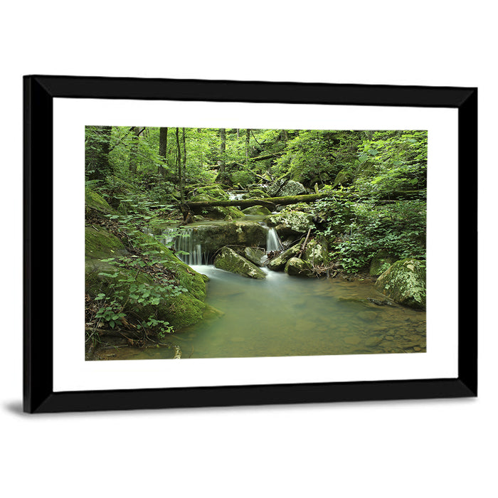 Arkansas Forest Stream Wall Art as a framed print