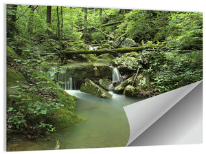 Arkansas Forest Stream Wall Art
