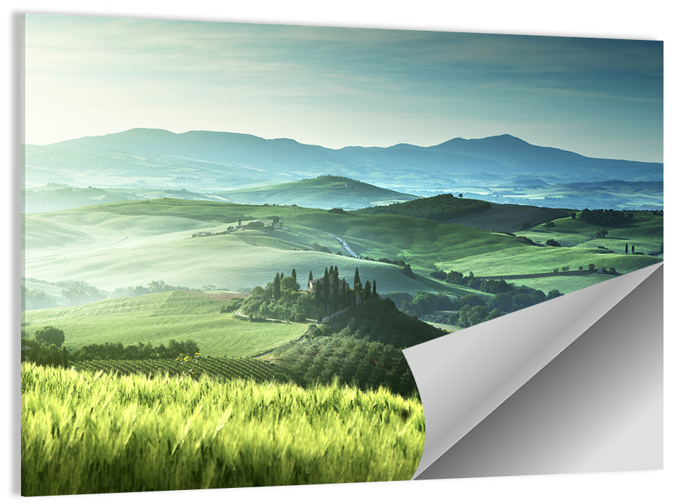 Misty Rolling Hills with Cypresses Wall Art