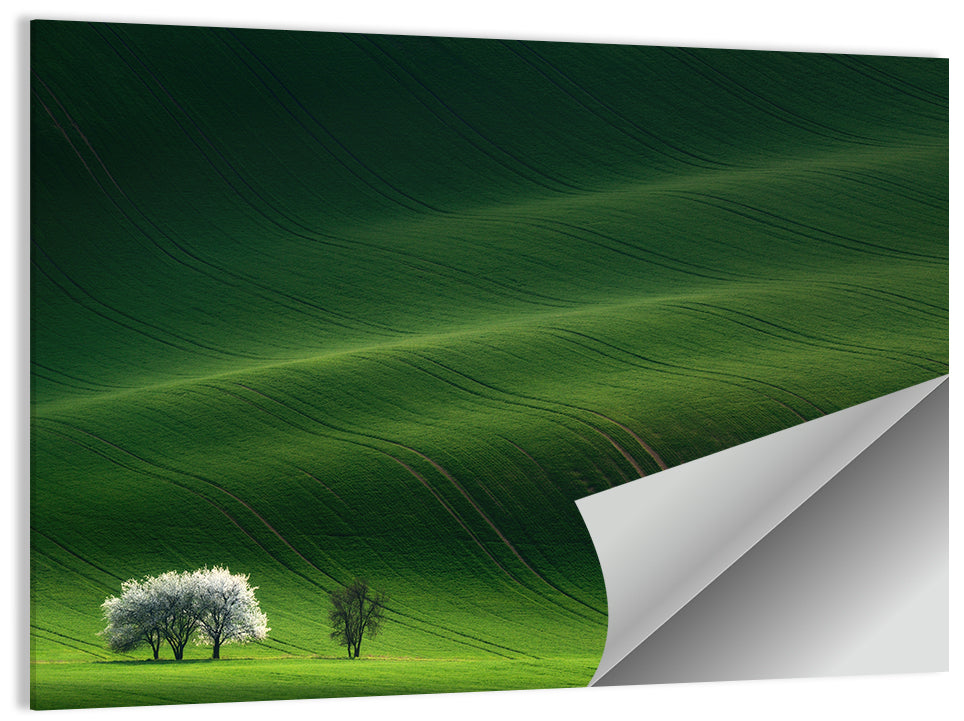 Emerald Hills with Blossoming Tree Wall Art