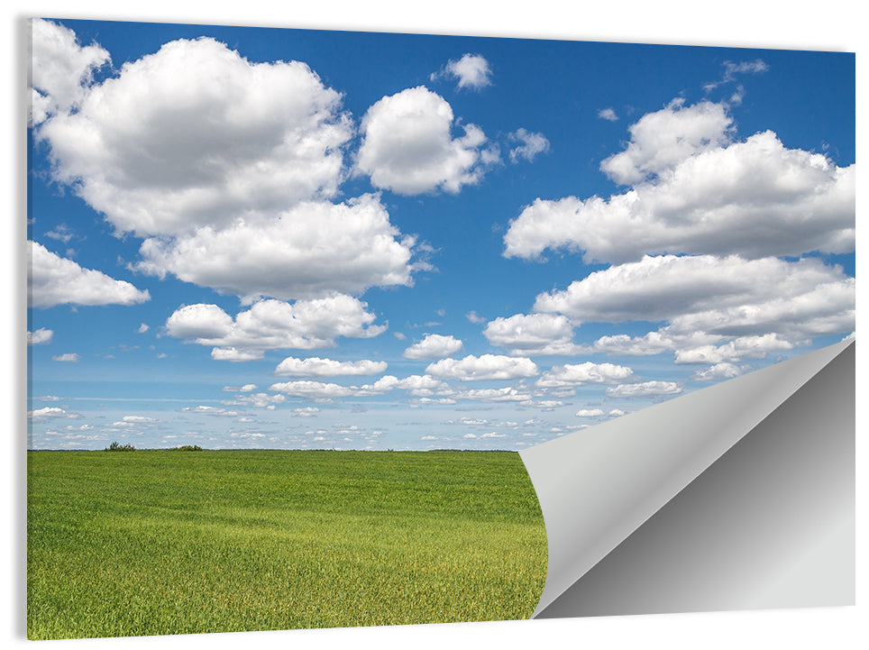Cloud Filled Sky Over Meadow Wall Art