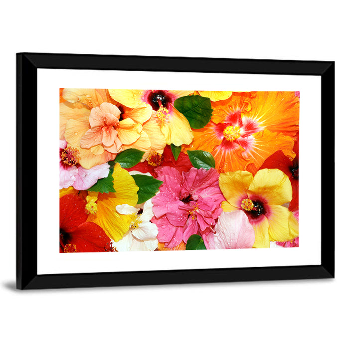 Vibrant Hibiscus Close-up Wall Art as a framed print