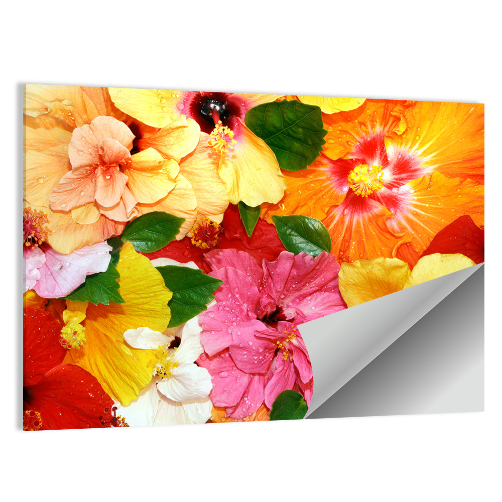 Vibrant Hibiscus Close-up Wall Art