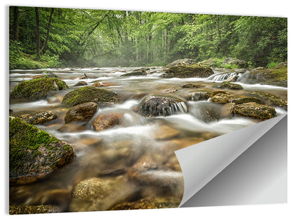 Forest Creek North Carolina Wall Art