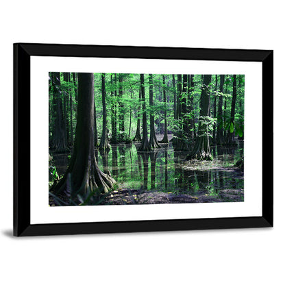 Congaree Swamp Columbia Wall Art