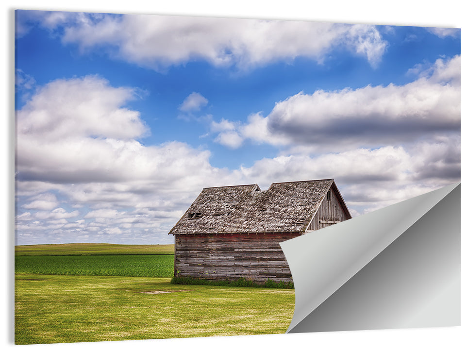 Old Farm Shed in Field Wall Art