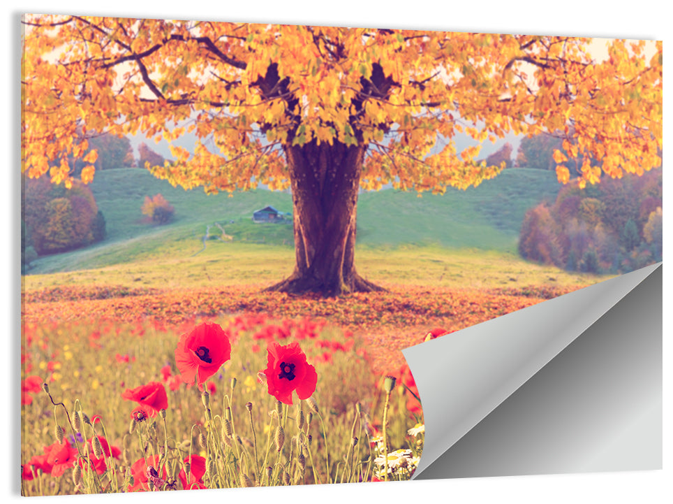 Big Tree & Poppy Floral Wall Art