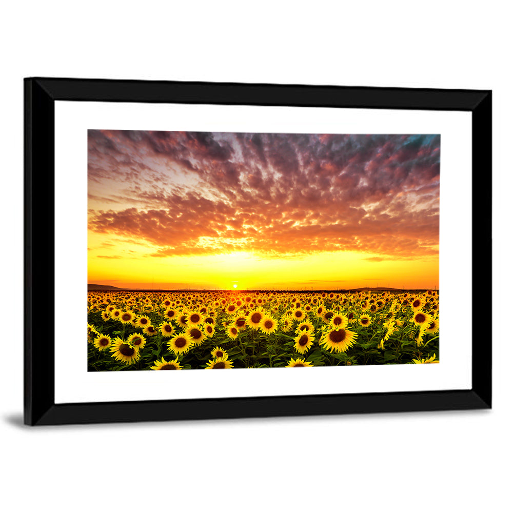 Golden Hour Sunflower Field Wall Art
