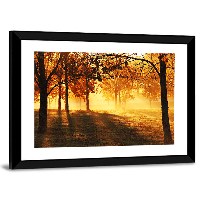 Autumn Sunbeams Through Fog Wall Art as a framed print