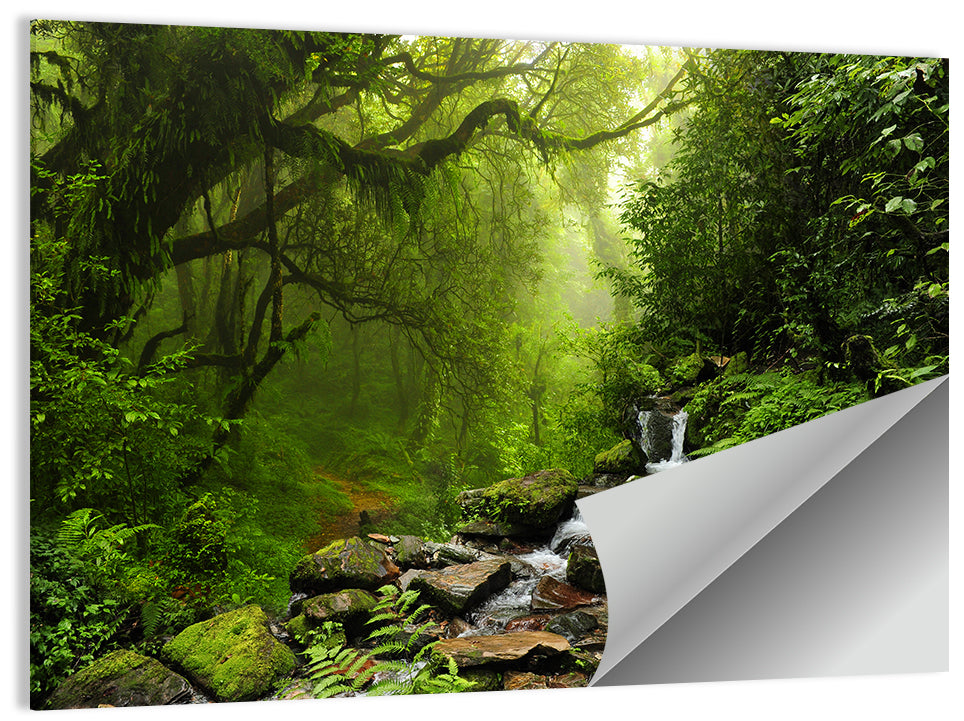 Annapurna Jungle Stream Wall Art
