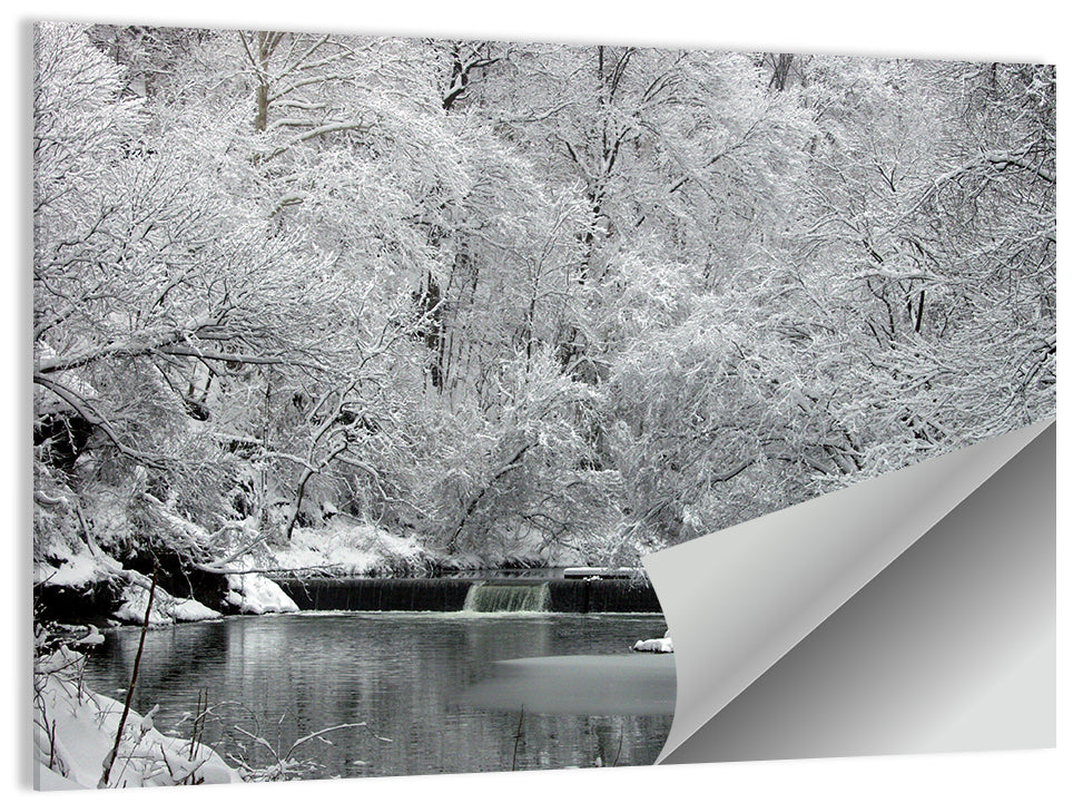 Fairmount Park Wall Art