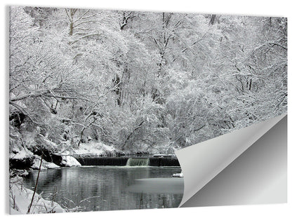 Fairmount Park Wall Art