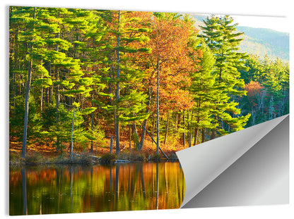 White Mountain National Forest I Wall Art