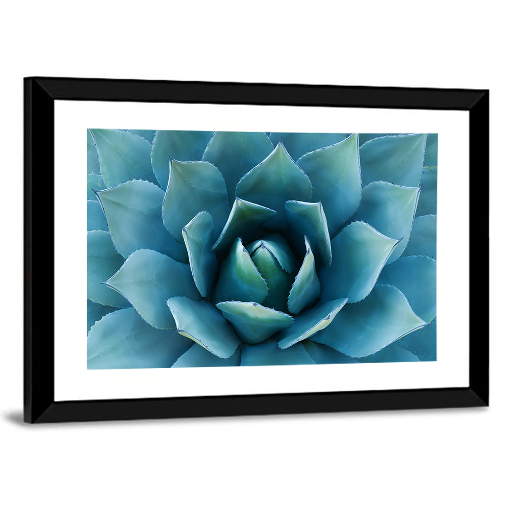 Spiral Agave Macro Wall Art