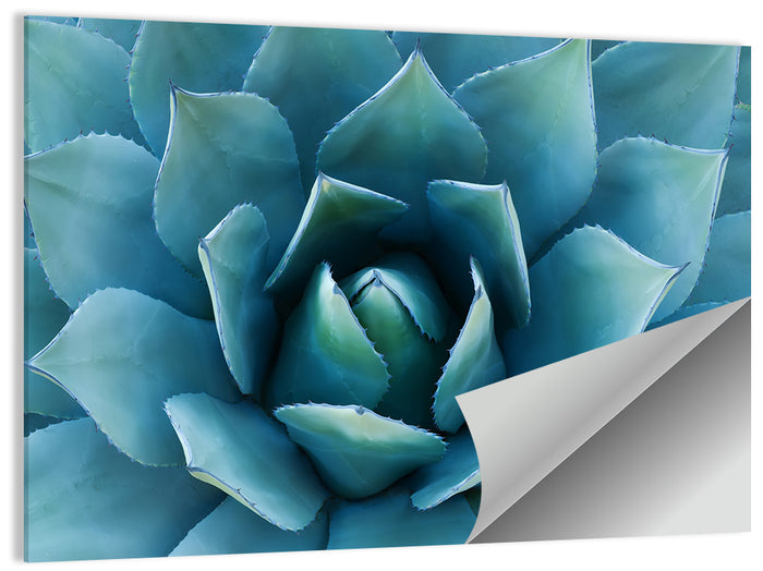 Spiral Agave Macro Wall Art as a poster print
