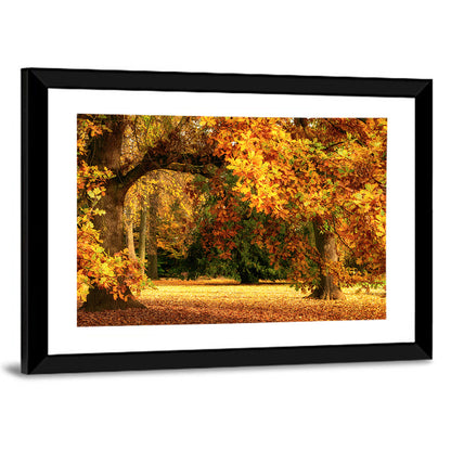 Park Autumn Trees Wall Art