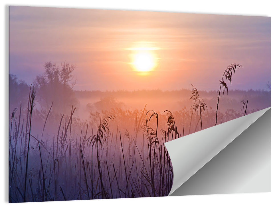 Lavender Sunrise Over Reeds Wall Art