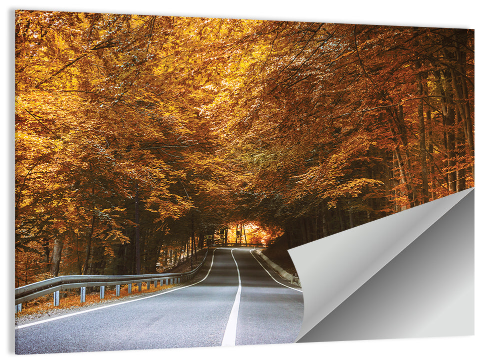 Autumn Forest Road with Canopy Wall Art