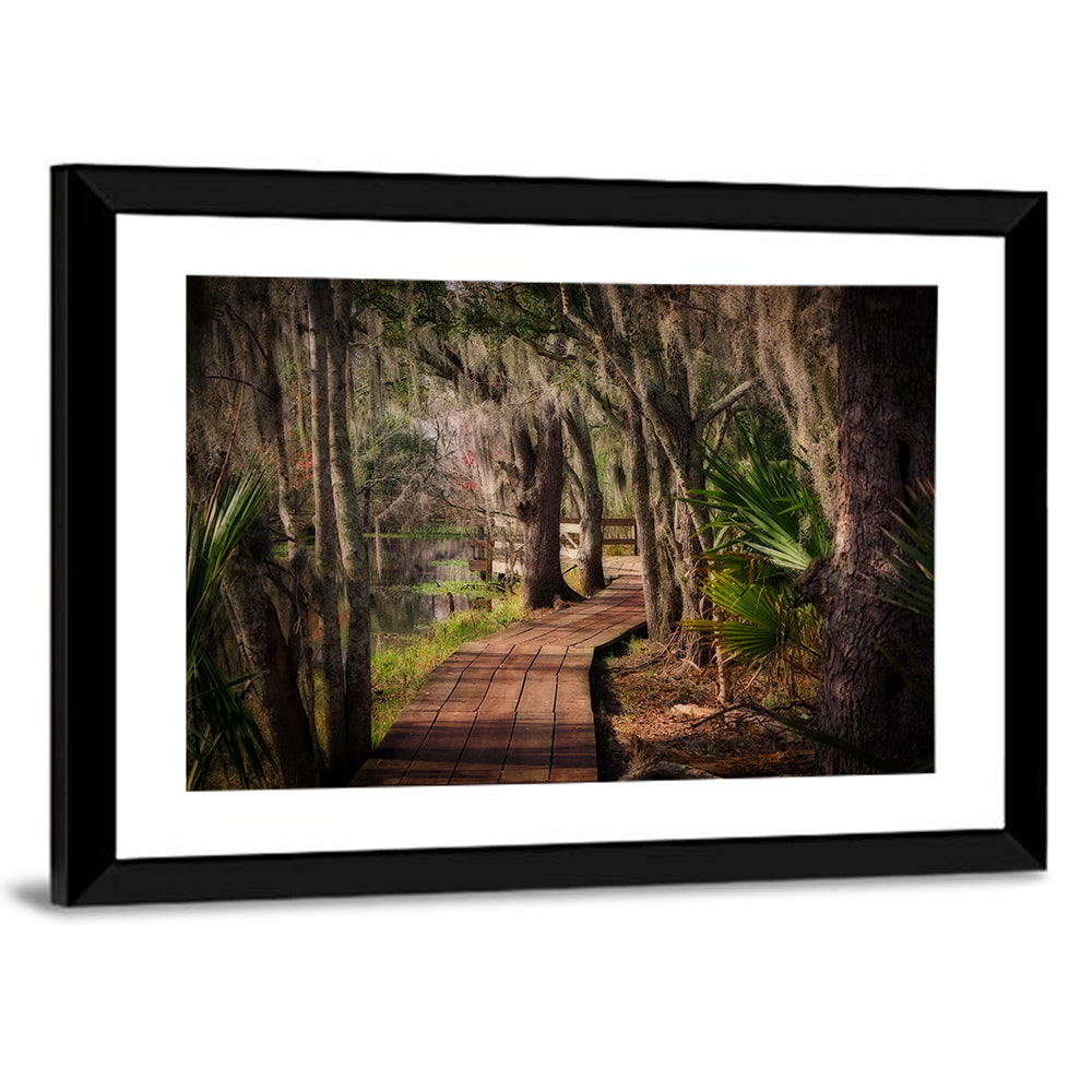 Louisiana Swamp Boardwalk Wall Art