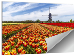 Windmill in Tulip Farm Field Wall Art