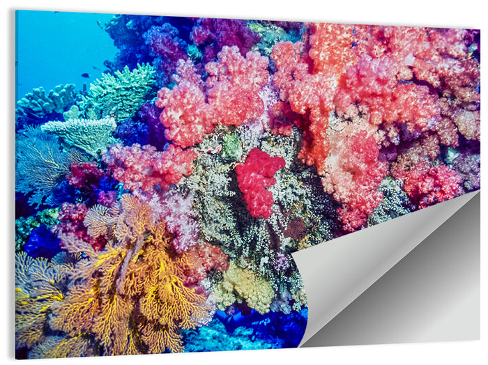 Vibrant Coral Reef Wall Art as a poster print