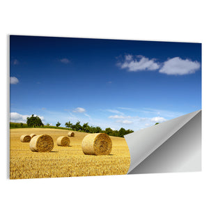 Straw Bales Wall Art