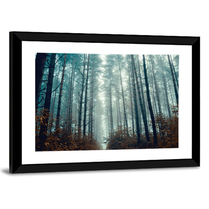 Misty Pine Forest Wall Art as a framed print