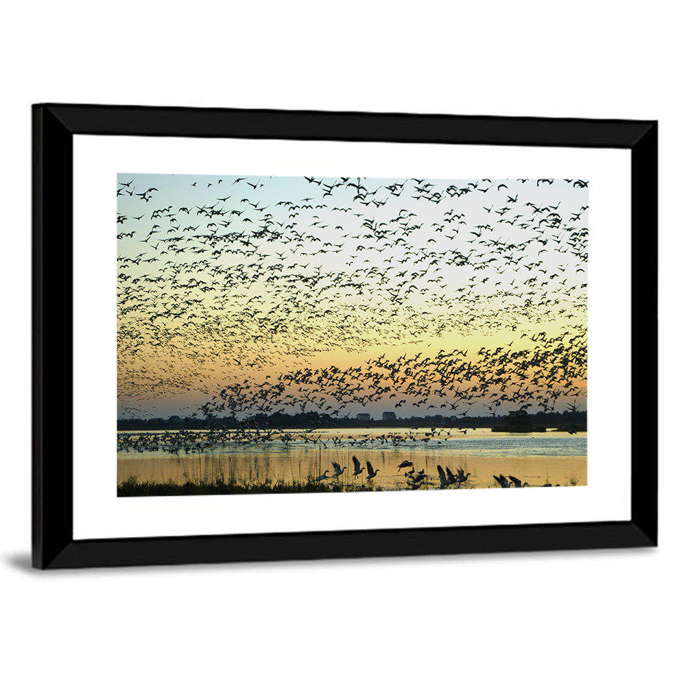 Snow Geese Over River Wall Art