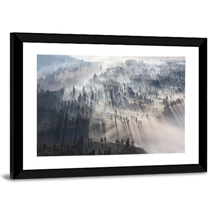 Misty Forest Sunrise Wall Art as a framed print