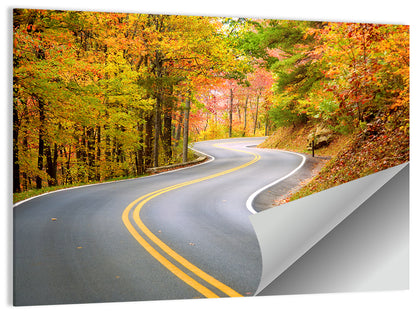 Winding Autumn Road Wall Art